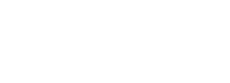 Anatomobil